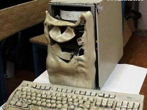 Virus in action